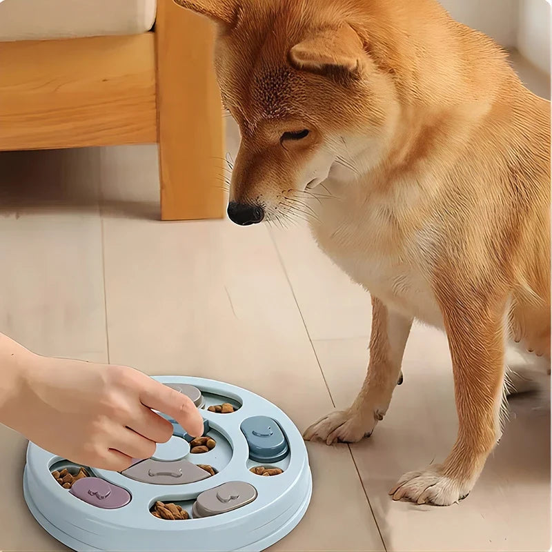 Dog solving a round puzzle feeder with its owner