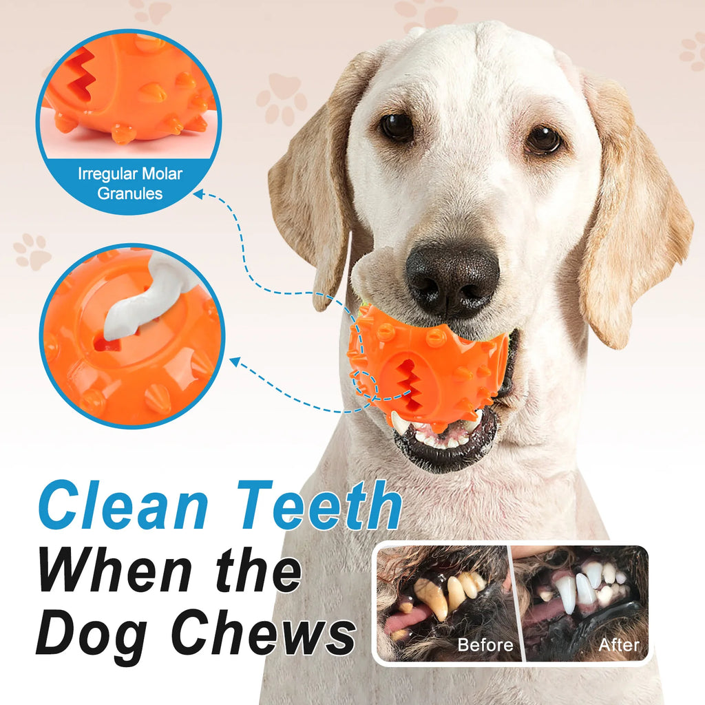Chew & Treat Dispensing Ball