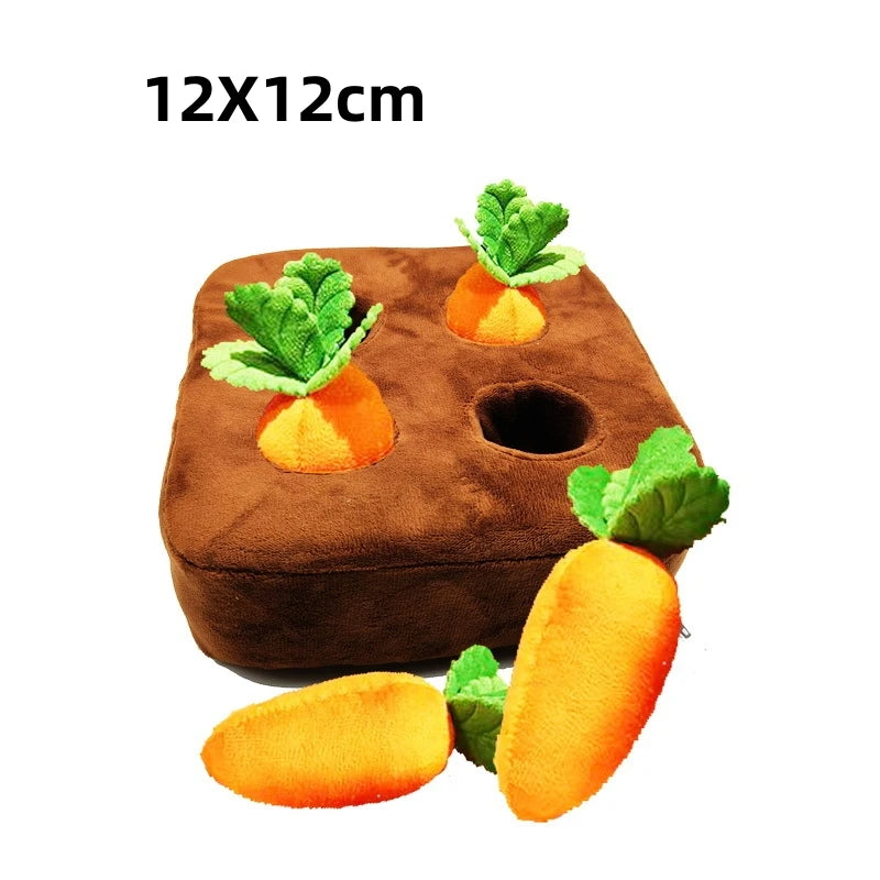 Carrot Patch Sniffing Toy