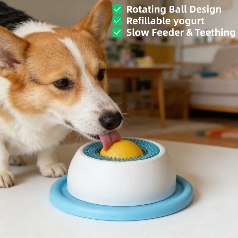 Corgi licking a rotating ball lick feeder