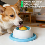 Corgi licking a rotating ball lick feeder