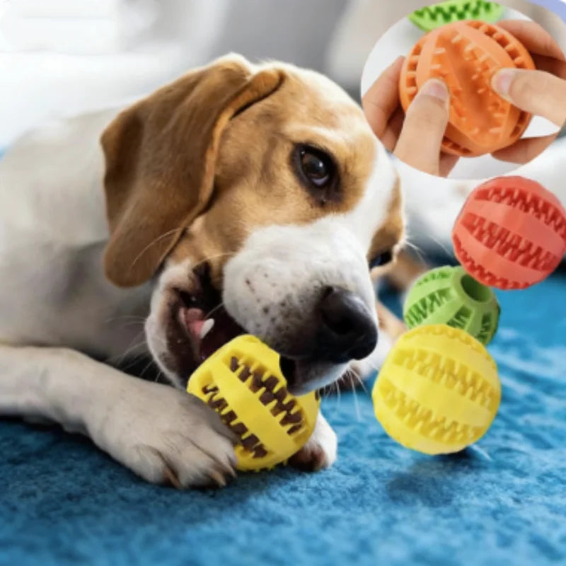 Beagle chewing a yellow rubber treat ball