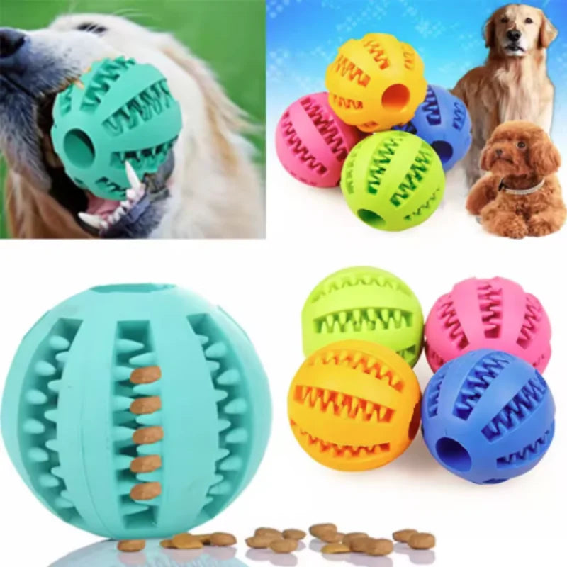 Dogs playing with rubber treat balls