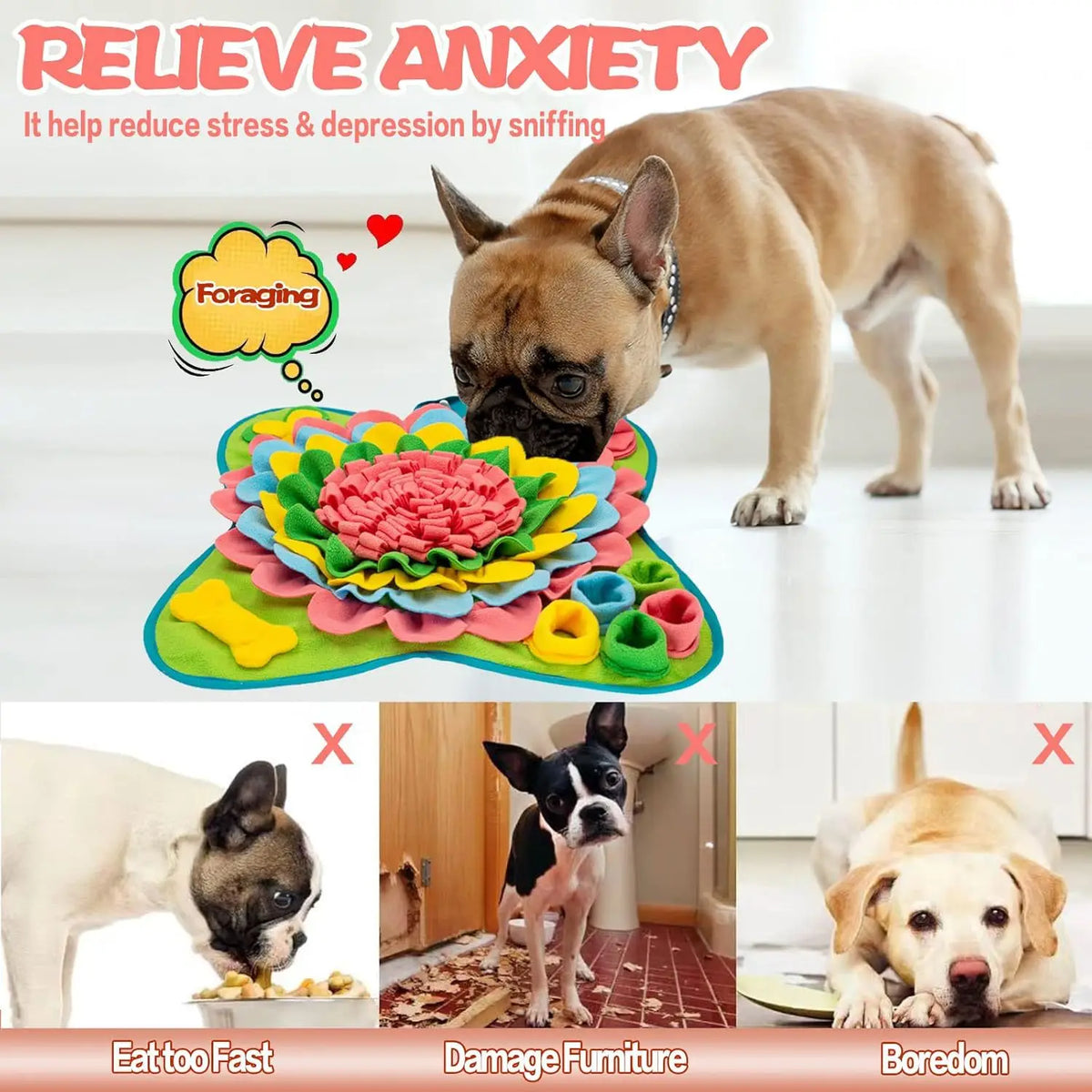 French bulldog searching a snuffle mat