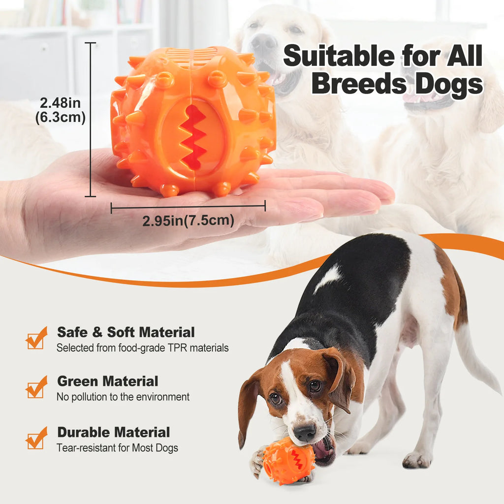 Chew & Treat Dispensing Ball