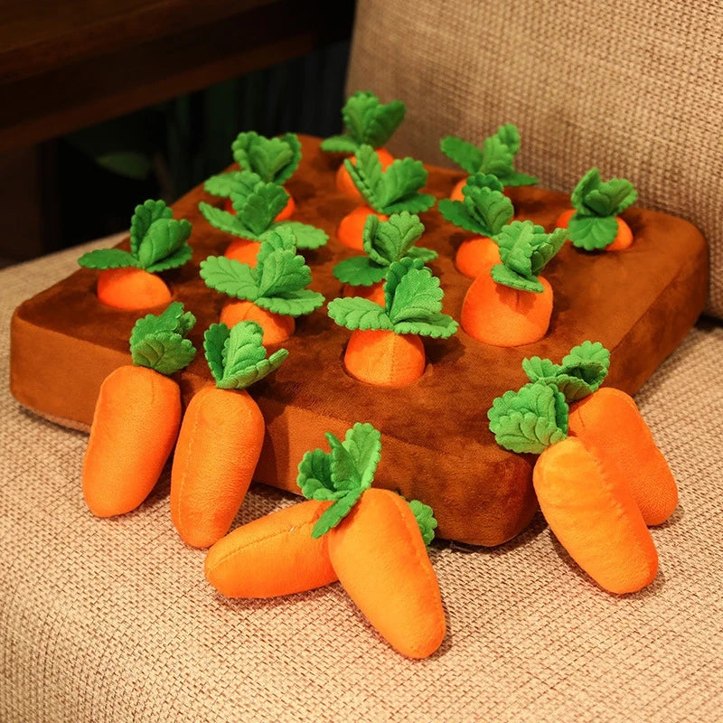 Carrot Patch Sniffing Toy