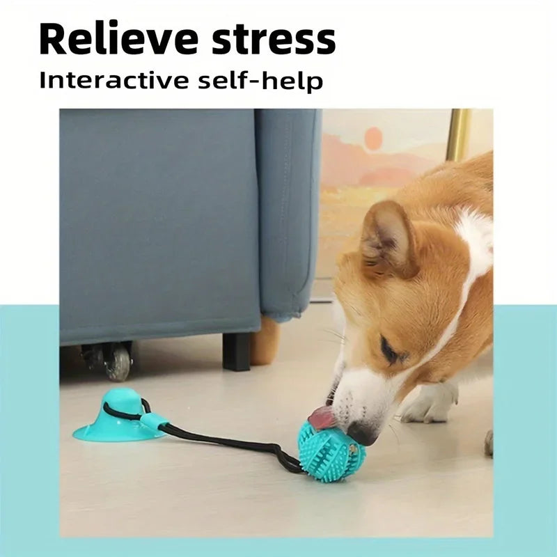 Suction Cup Tug & Treat Ball