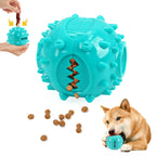 Chew & Treat Dispensing Ball