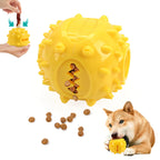 Chew & Treat Dispensing Ball