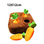 Carrot Patch Sniffing Toy