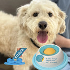 Fluffy dog next to a rotating ball lick feeder
