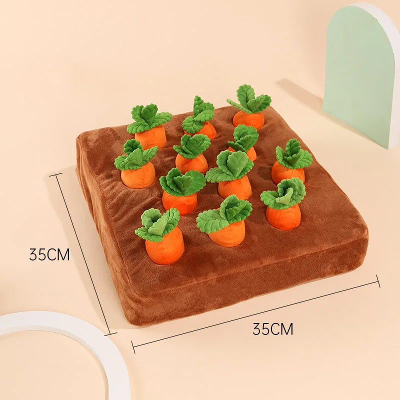 Carrot Patch Sniffing Toy